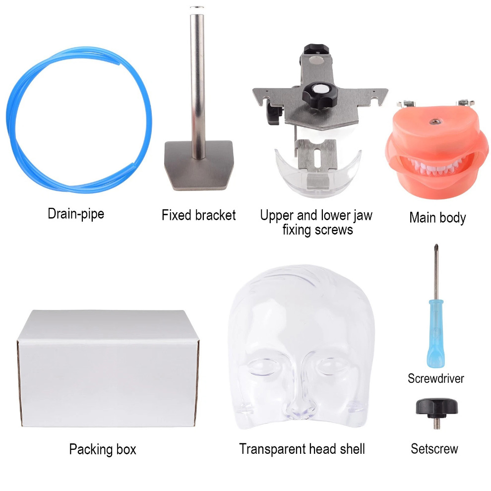 Dental Phantom Head Manikin Model with 28Pcs/32Pcs Teeth Typodont and FE Articulator Compatible with Nissin Kilgore